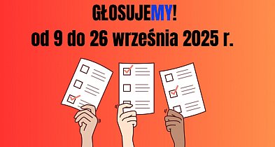 Wiata, deptak czy fontanna? Mieszkańcy Żerkowa zdecydują w głosowaniu-15136