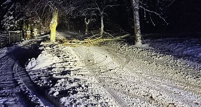 Uwaga rowerzyści! Ścieżka Jarocin–Cielcza tymczasowo nieprzejezdna-16260