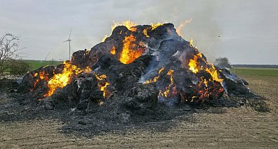 150 balotów w ogniu. Strażacy gaszą pożar w Potarzycy (ZDJĘCIA)