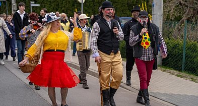 Niedźwiedzie na Bogusławiu FOTORELACJA