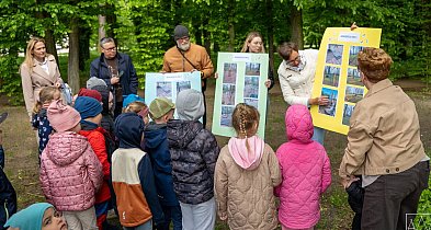 Park Radolińskich z nową atrakcją. Powstanie park linowy dla najmłodszych ZDJĘCIA