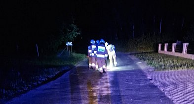 Nocna interwencja strażaków. Usuwali plamę oleju na drodze (ZDJĘCIA)