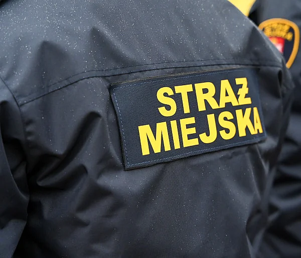 Zapuka strażnik, zapłacisz karę. Ruszyły kontrole w całej Polsce-15572