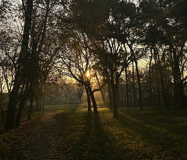 Nadchodzi najkrótszy dzień w 2025 roku. Sprawdź, kiedy przypadnie-16595