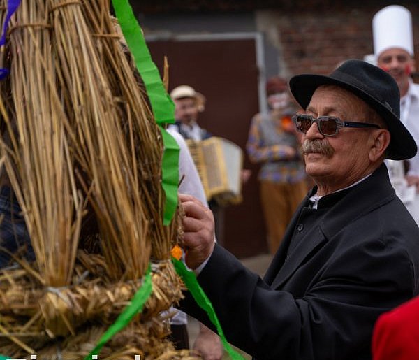 Niedźwiedzie na Bogusławiu FOTORELACJA