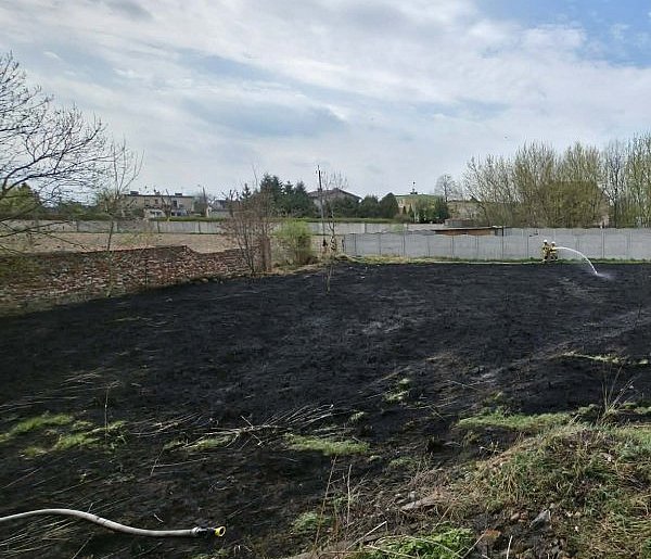 Pożar przy ul. Leśnej w Witaszycach. Strażacy szybko opanowali sytuację (ZDJĘCIA)