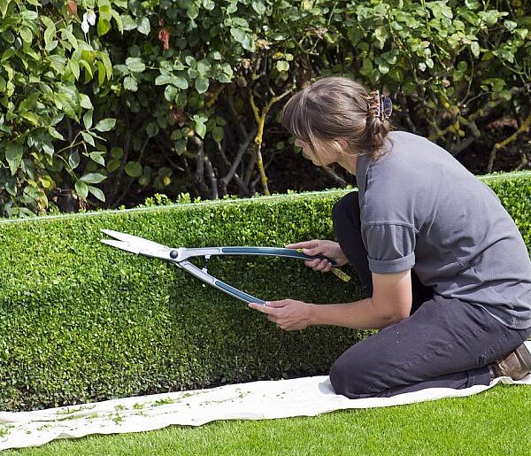 Oto, co Polacy robią na L4. Niektóre przypadki zaskakują