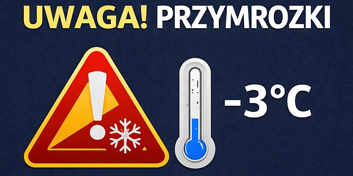 Zimno nie odpuszcza!