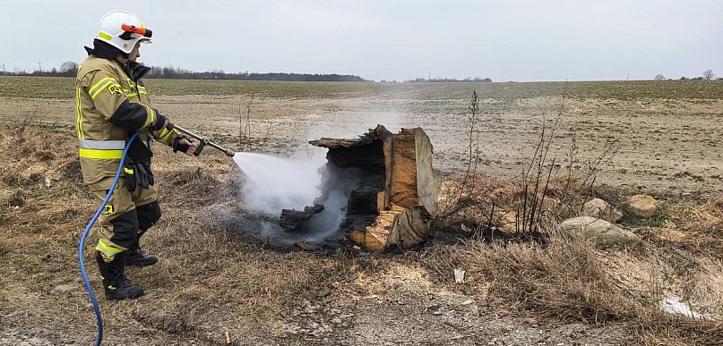Gorące popołudnie na lokalnej drodze. Zapalił się… konar drzewa (ZDJĘCIA)