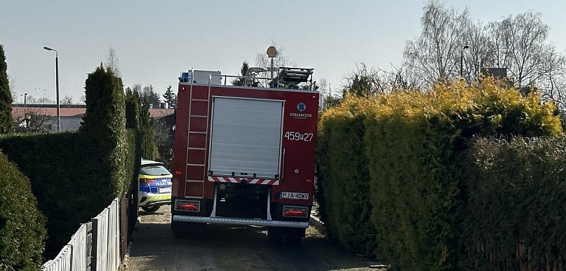 Pożar na ogródkach działkowych w Jarocinie. Na miejscu strażacy (ZDJĘCIA)