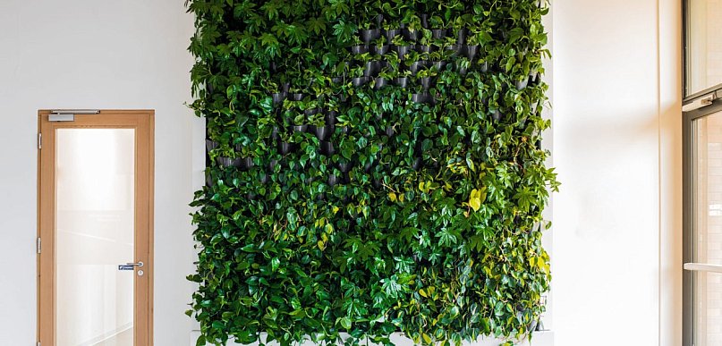 Biuro z charakterem dzięki ścianie wertykalnej i żywym ścianom z roślin