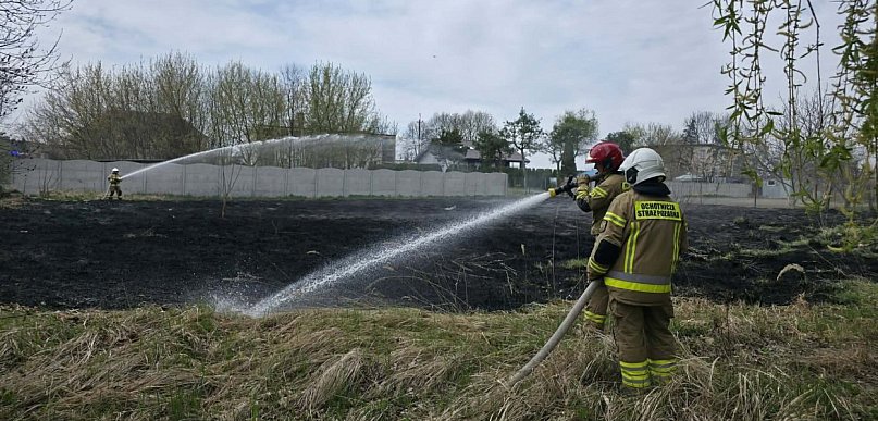 Pożar przy ul. Leśnej w Witaszycach. Strażacy szybko opanowali sytuację (ZDJĘCIA)