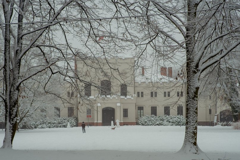 Park Radolińskich w zimowe odsłonie