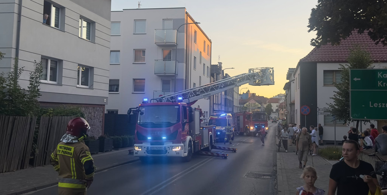 foto.: Czytelnik