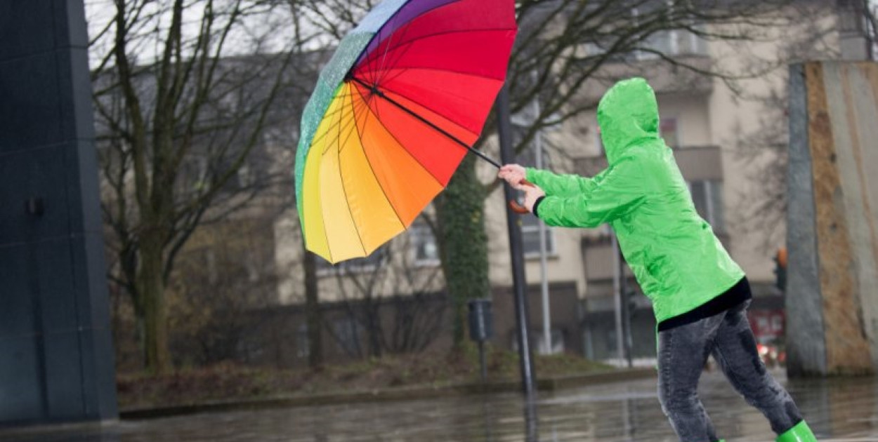 zdjęcie ilustracyjne/archiwum portalu