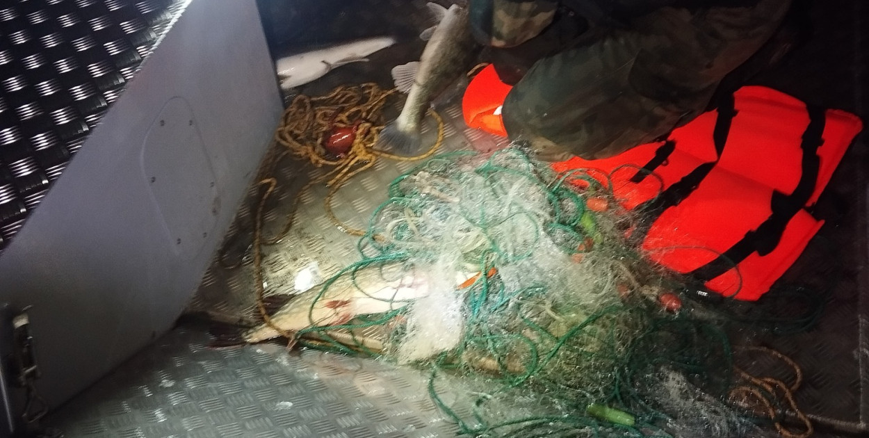 foto.: Ochotnicza Straż Pożarna w Wilkowyi