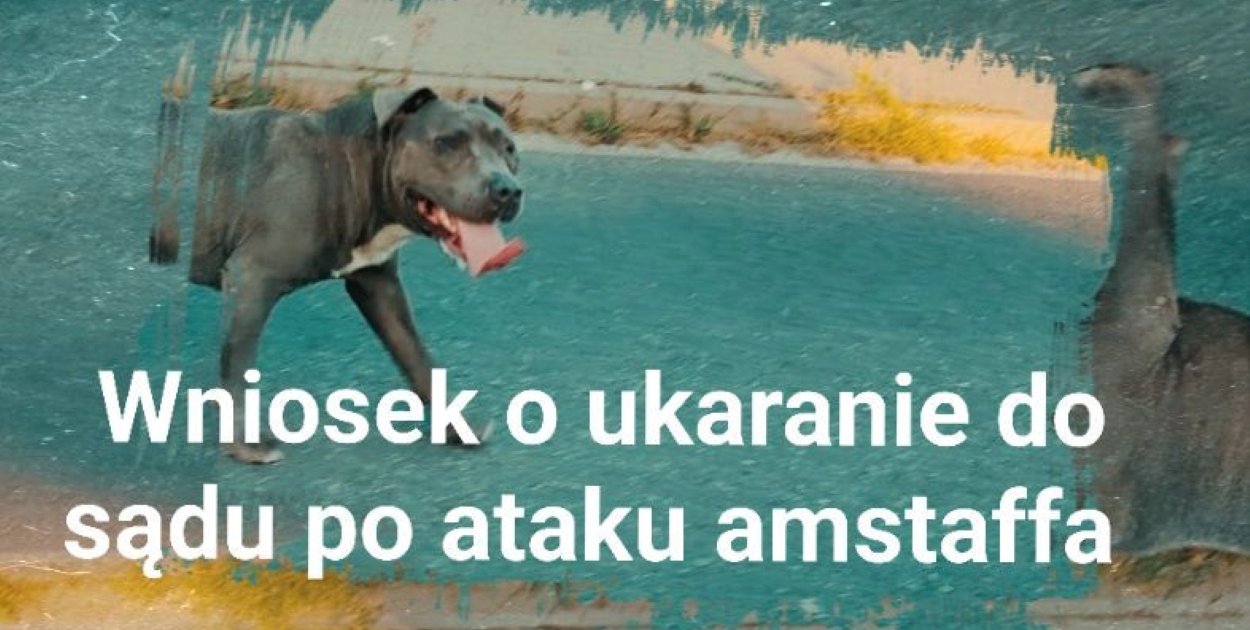 Seria agresywnych ataków psa w Jarocinie. Jest wniosek o odebranie zwierzęcia