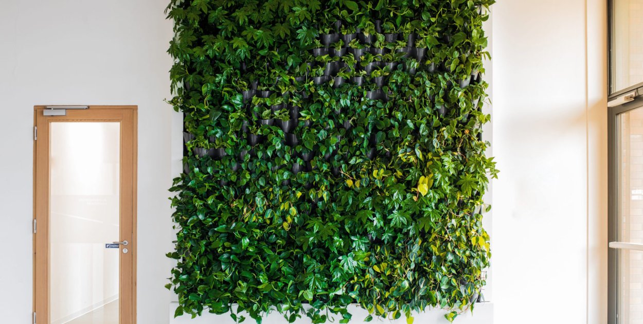 Biuro z charakterem dzięki ścianie wertykalnej i żywym ścianom z roślin