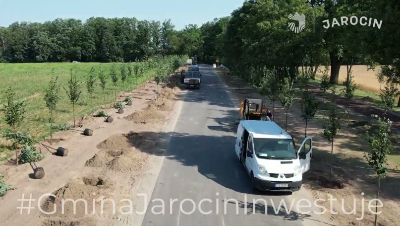 500 nowych drzew w gminie Jarocin